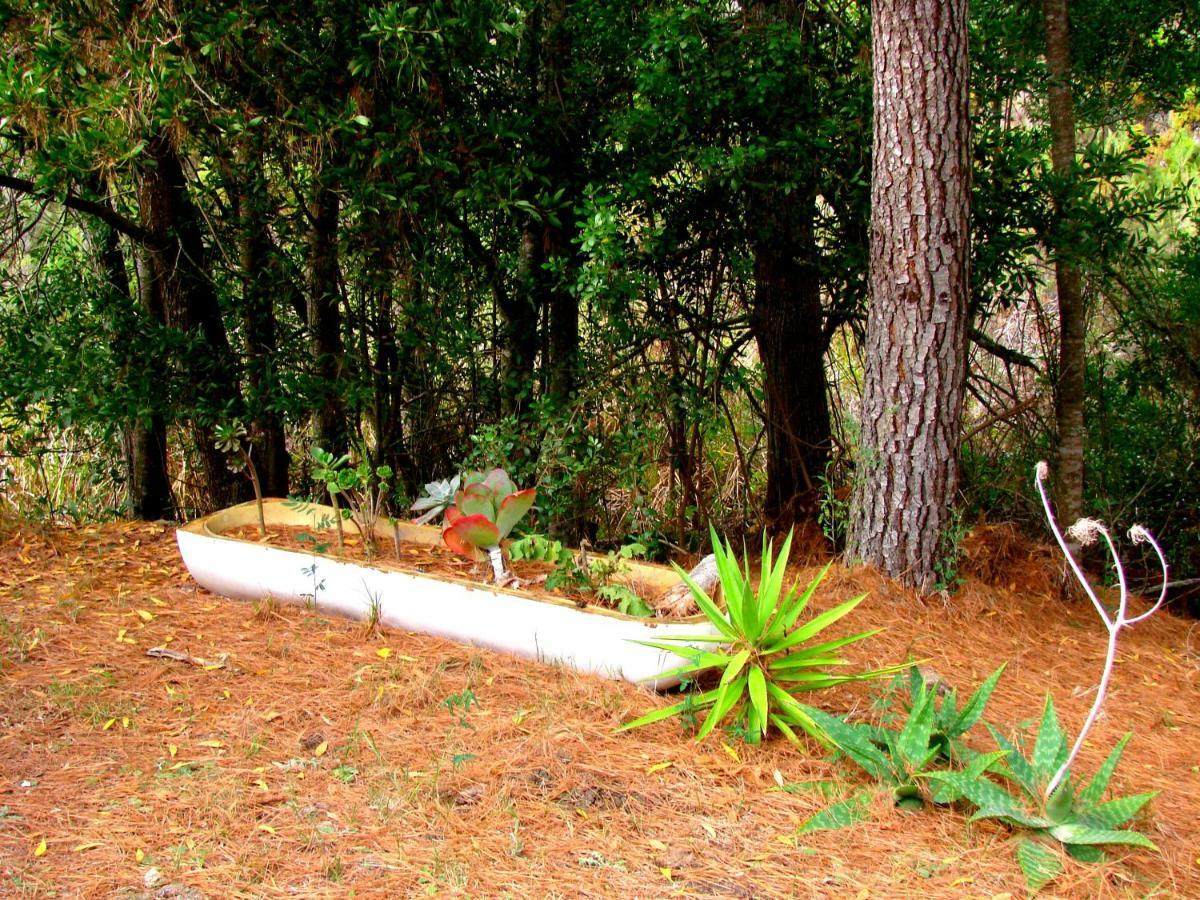 Hindthausen Hotel Knysna Luaran gambar